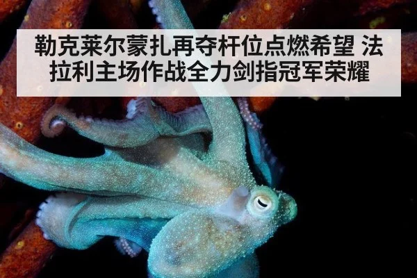 勒克莱尔蒙扎再夺杆位点燃希望 法拉利主场作战全力剑指冠军荣耀